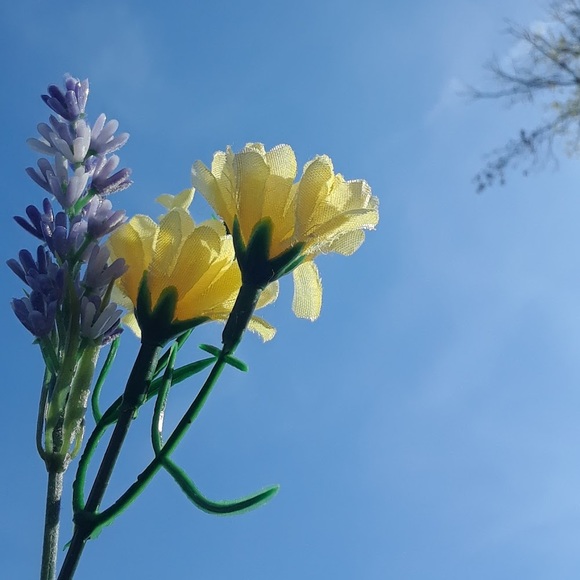 Meet your Posher, Jadeisunderage - Picture 1 of 1